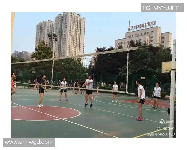 专访刘芳：探寻排球背后的成功秘诀与奋斗历程