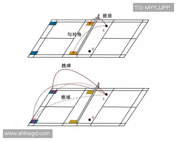 上海羽毛球队进攻体系解析与战术运用研究