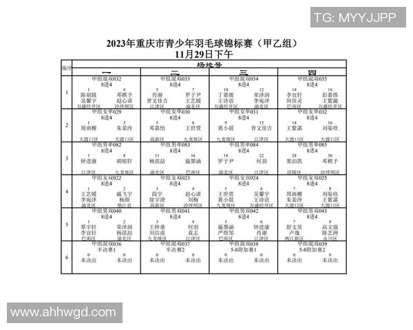 重庆羽毛球队进攻策略分析与比赛表现的得失总结