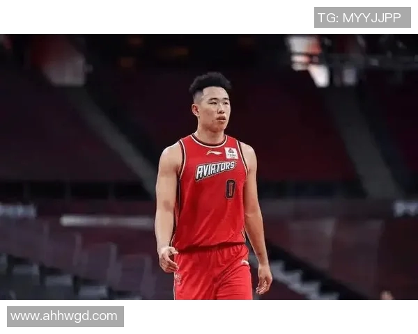 贺希宁:从篮球新星到职业生涯巅峰的成长之路与奋斗故事